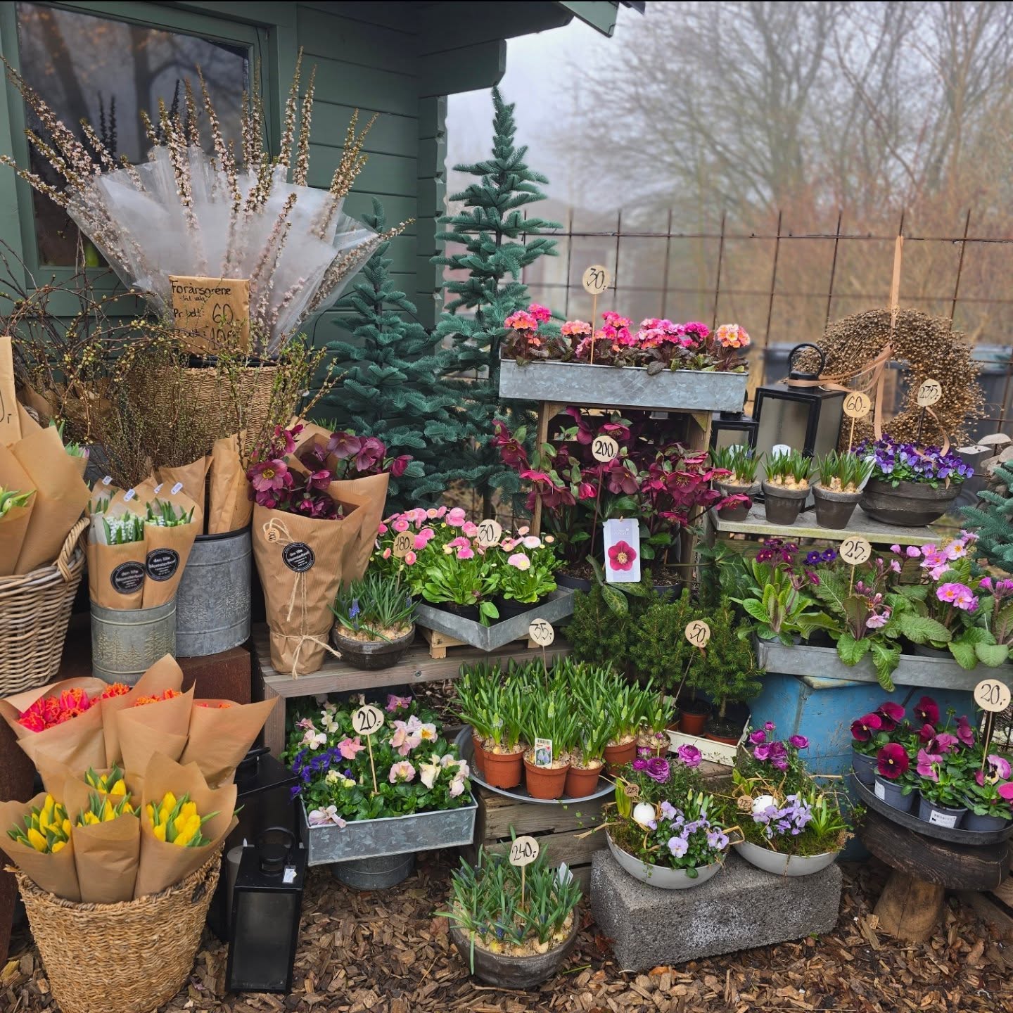 Blomsterboden med buketter, potteplanter og forårsblomster på hylder og i kurve