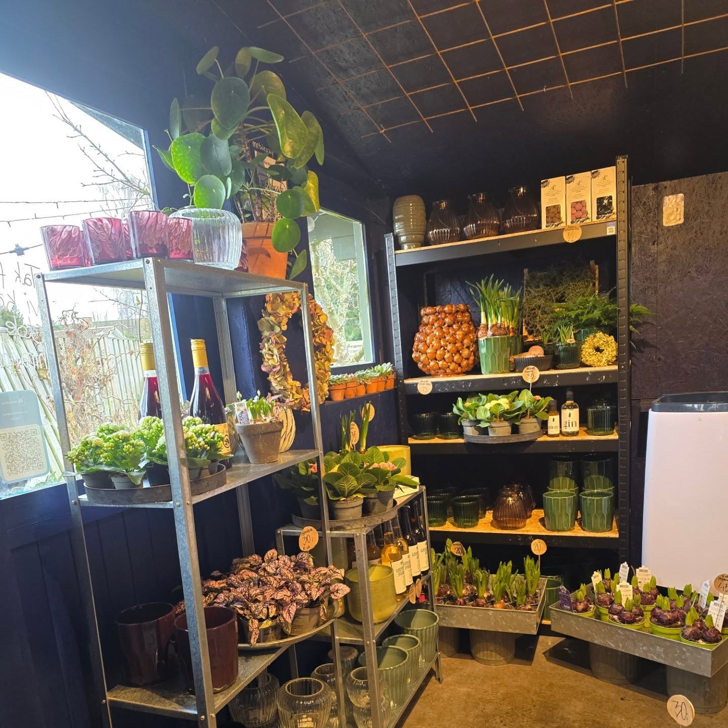 Et hjørne af butikken med grønne planter, vaser og blomsterløg i potter
